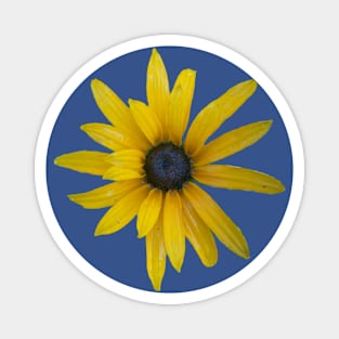 Yellow Daisy Magnet